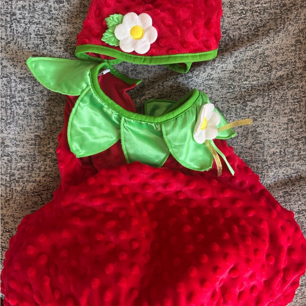 Strawberry Halloween Costume for Kids